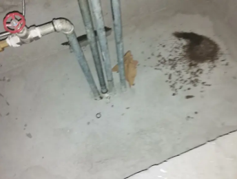 翁牛特卫生间测漏水价格明细