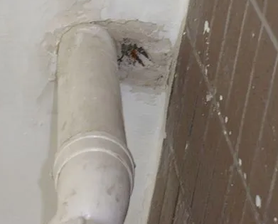 翁牛特漏水检测哪家好